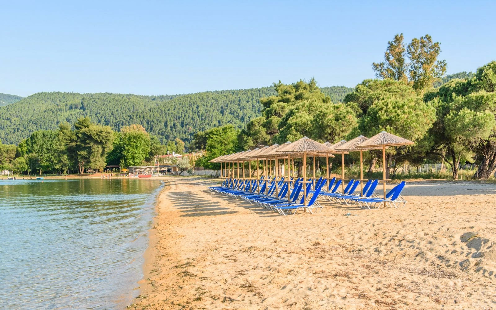 Χαλκιδική: «Πριβέ» ολόκληρη παράλια με το έτσι θέλω (εικόνες)